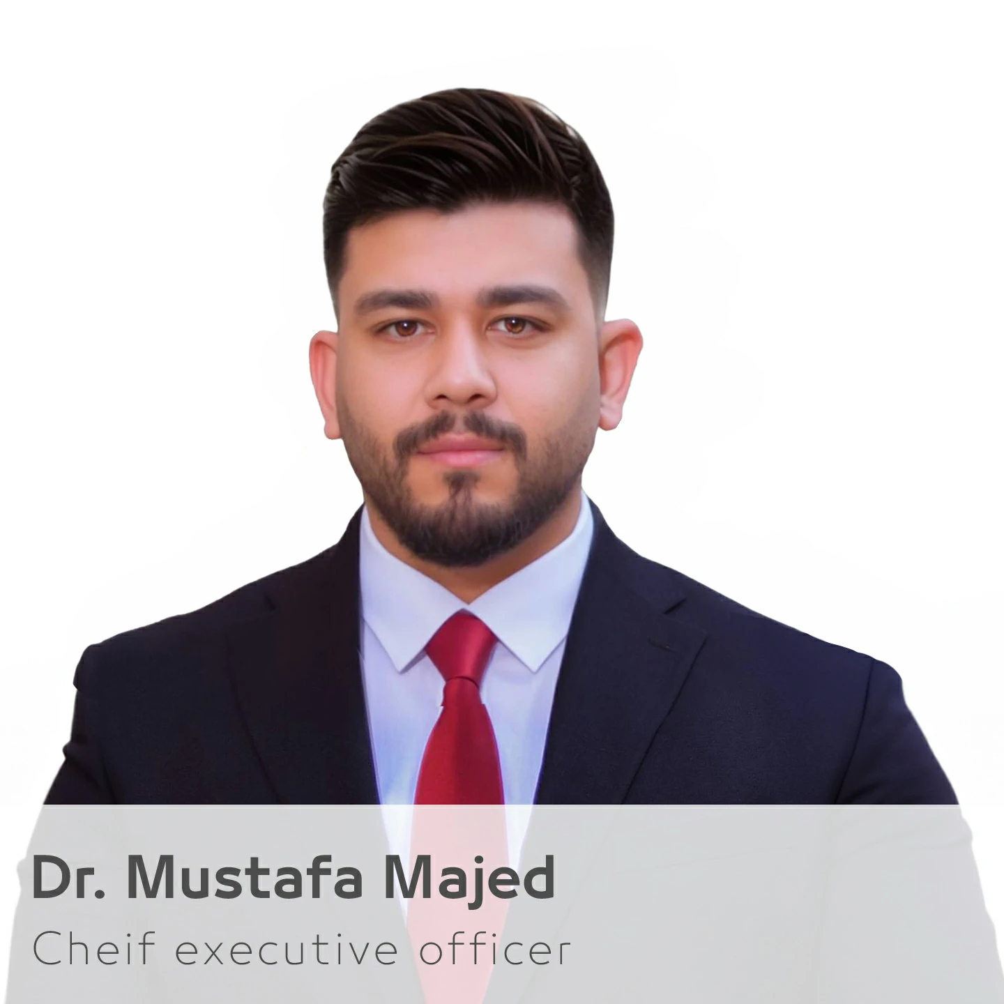 Cheif Executive Officer